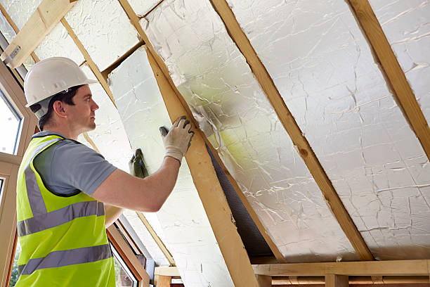 Best Insulation Removal  in Bristol, IN